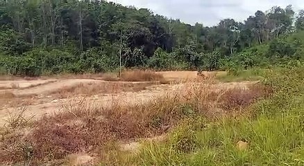 AMS Siap Turunkan 6 Crosser Muda di Ajang Porprov XI Kalsel 2022