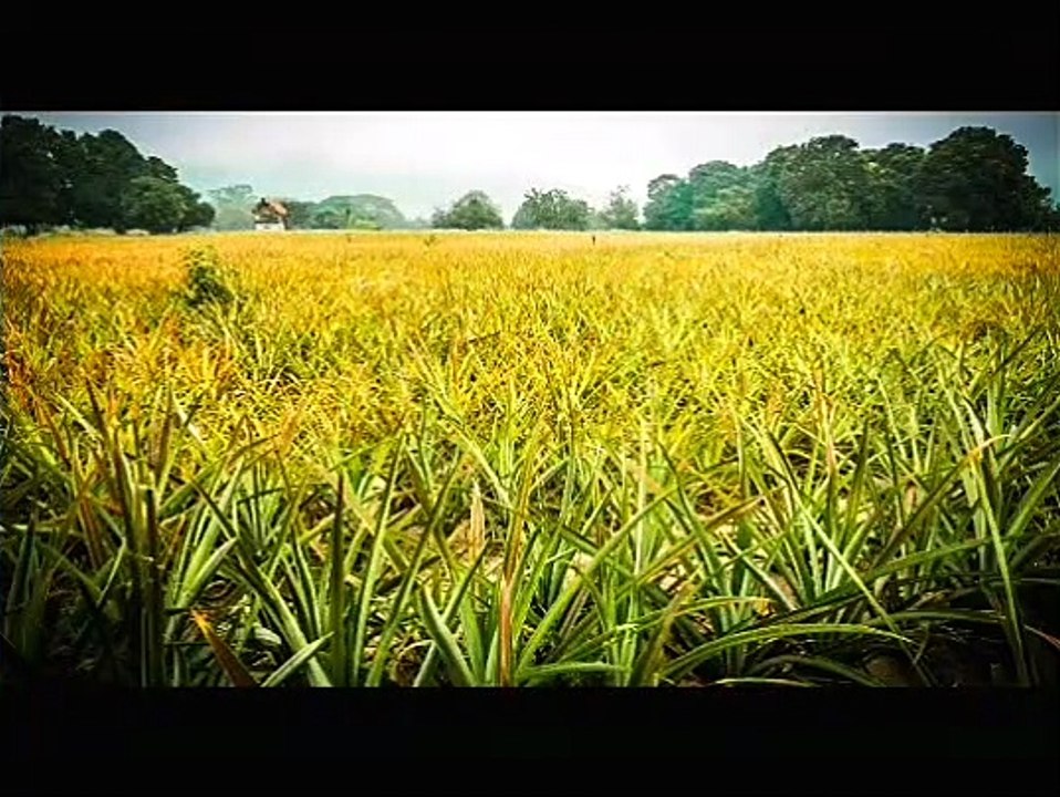 tt_200015rQeu
