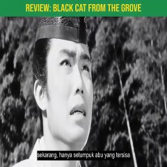 KUCING HITAM DAN WANITA - ALUR FILM