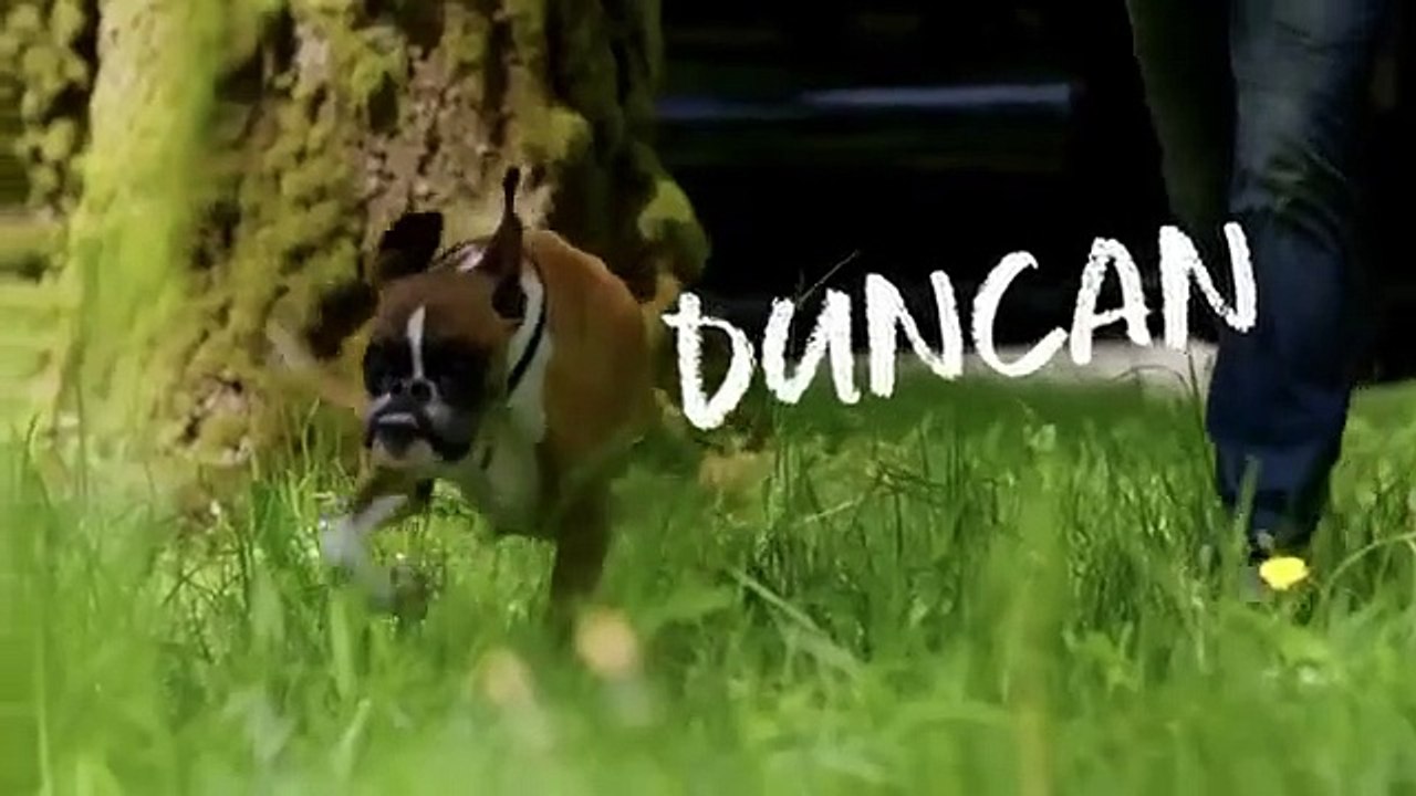 Amanda to the Rescue - Se1 - Ep04 HD Watch HD Deutsch