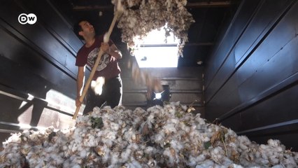 Giyim ve tekstili bekleyen tehlike: Pamuk krizi