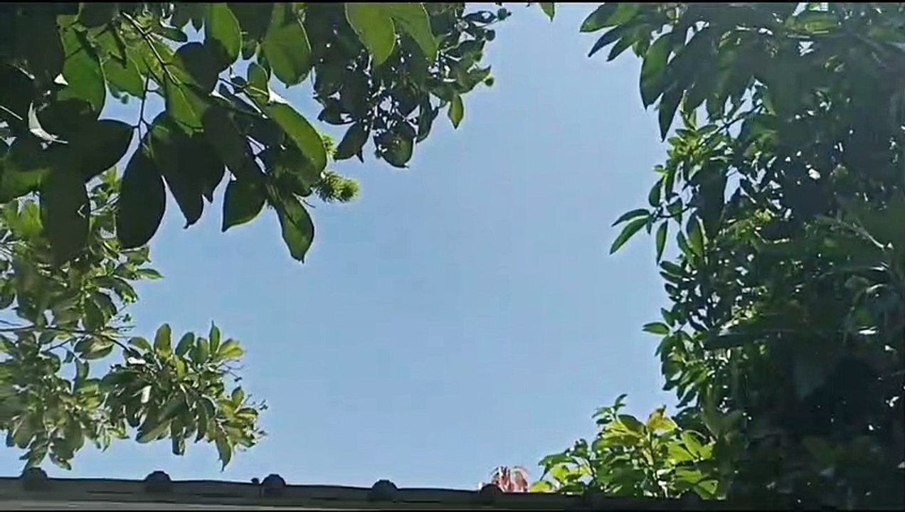 Making cinematic videos at work