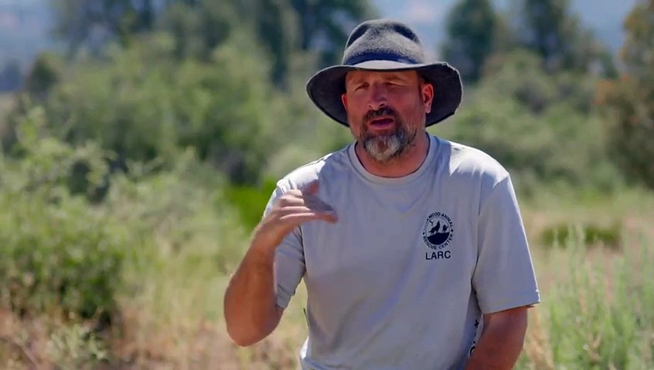 Wolves and Warriors - Se1 - Ep07 - Wolf Rescue Mission HD Watch HD Deutsch