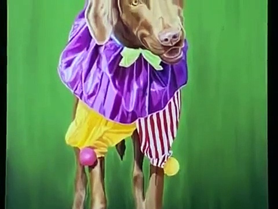 Dog Whisperer with Cesar Millan - Se1 - Ep04 HD Watch HD Deutsch