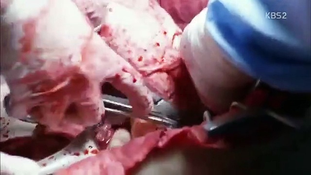 Blood - Ep02 HD Watch HD Deutsch