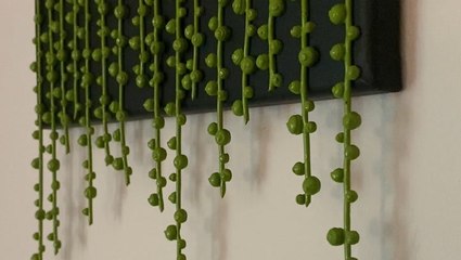 Making Plant Wall Art With ASMR