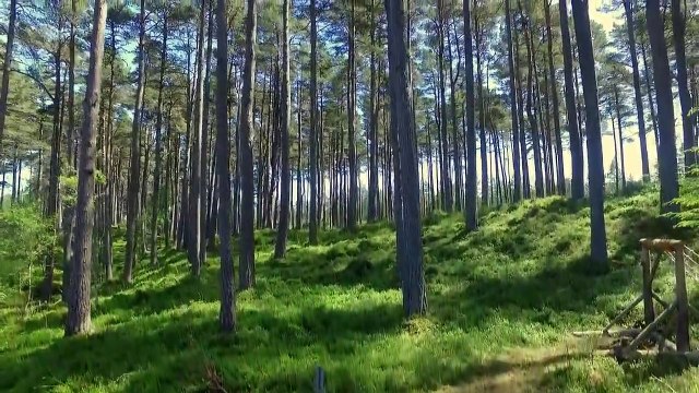 Churchill's Secret Agents - The New Recruits - Se1 - Ep01 - Selection HD Watch HD Deutsch