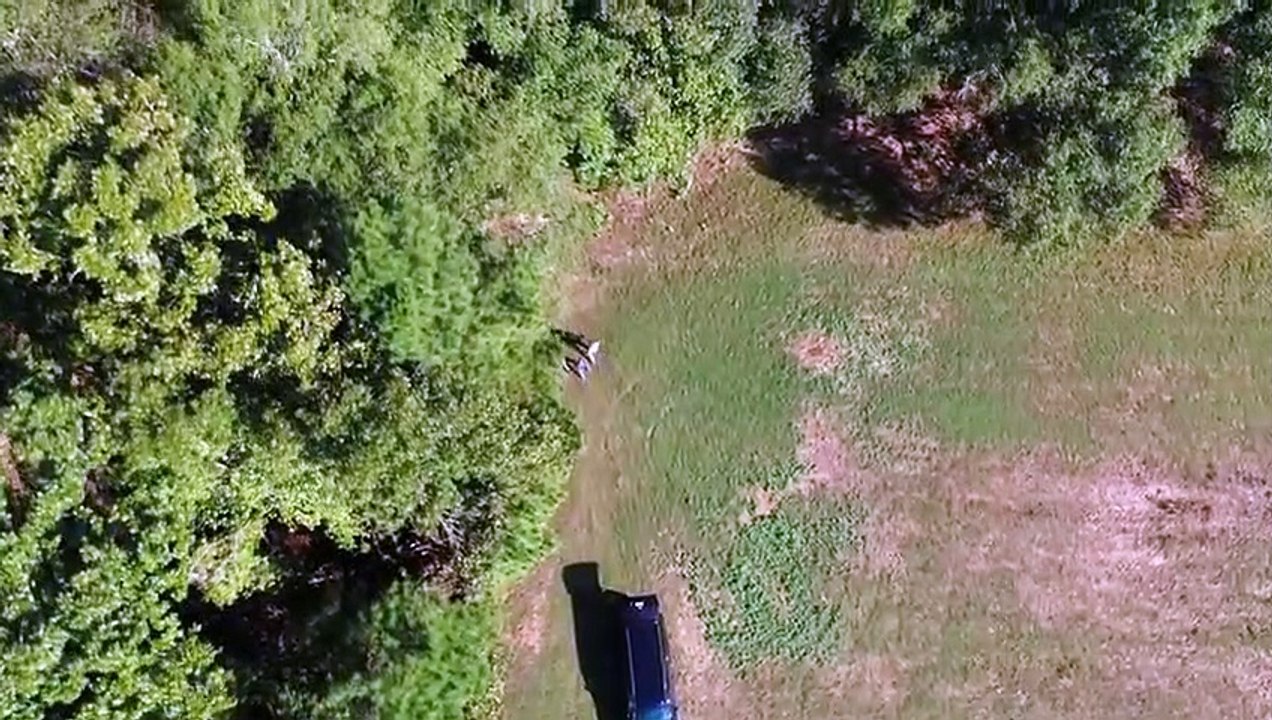 Curse of Civil War Gold - Se2 - Ep05 - Southern Comfort HD Watch HD Deutsch