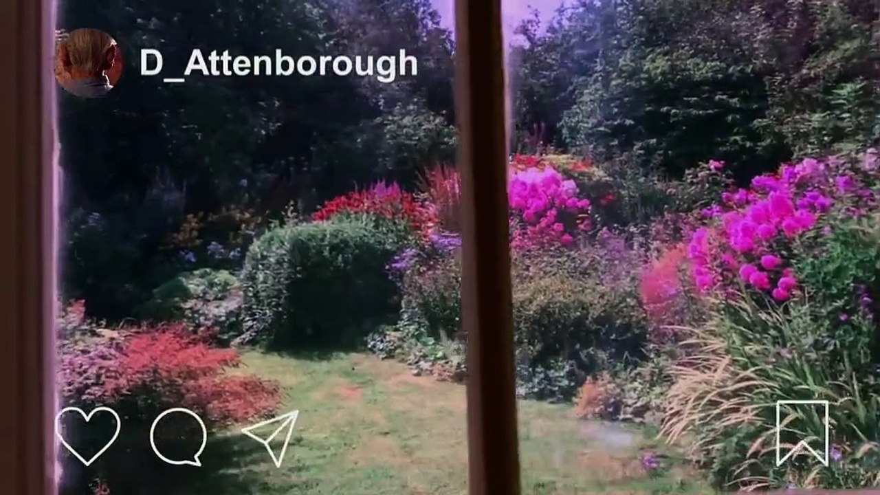 Spitting Image (2020) - Se1 - Ep09 HD Watch HD Deutsch