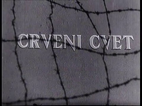 Crveni Cvet (1950)