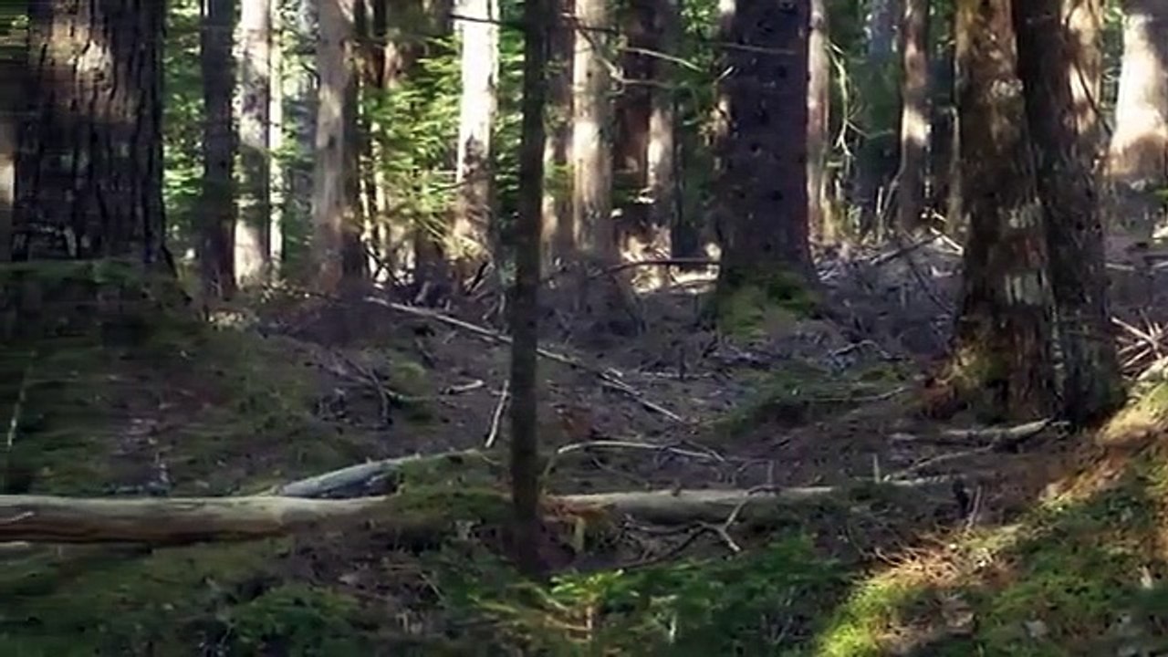 If We Built It Today - Se1 - Ep08 - Doomsday in Venice HD Watch HD Deutsch