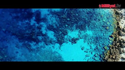 İşte Türkiye'nin gururu TOGG'un yolculuğu! Adım adım böyle ortaya çıktı...