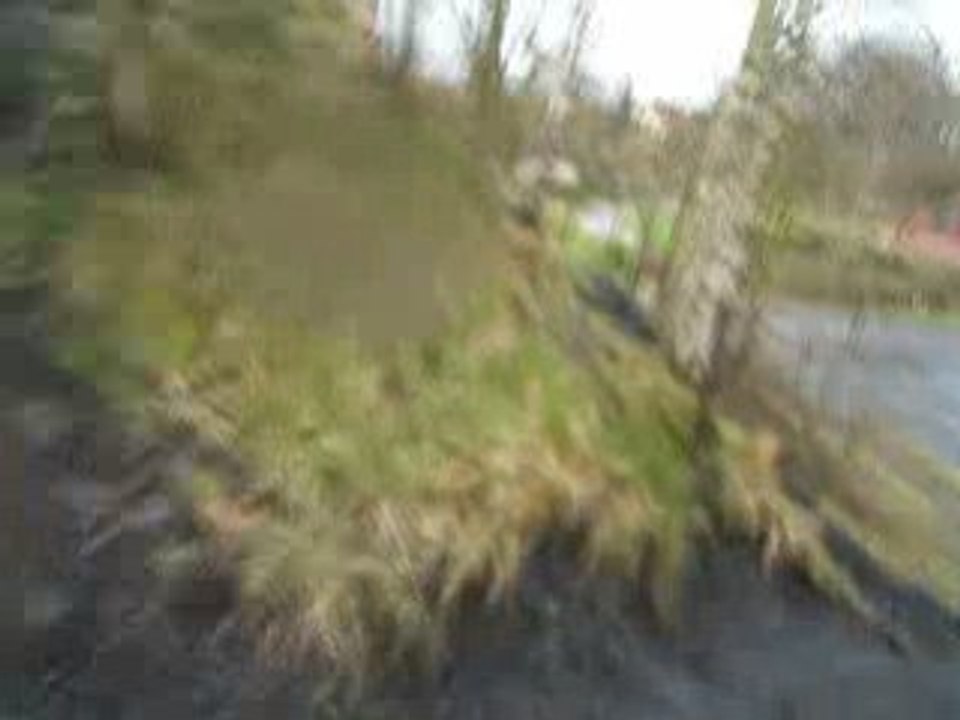 DSCF3688