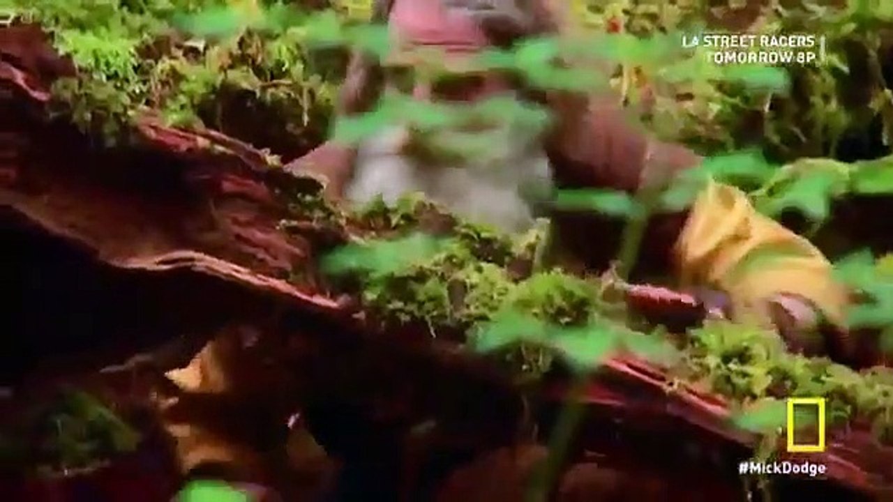 The Legend Of Mick Dodge - Se1 - Ep05 HD Watch HD Deutsch