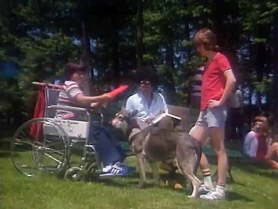 The Littlest Hobo - Se1 - Ep02 HD Watch HD Deutsch