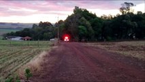 Mulher é atingida por cavalo e fica ferida em Cascavel