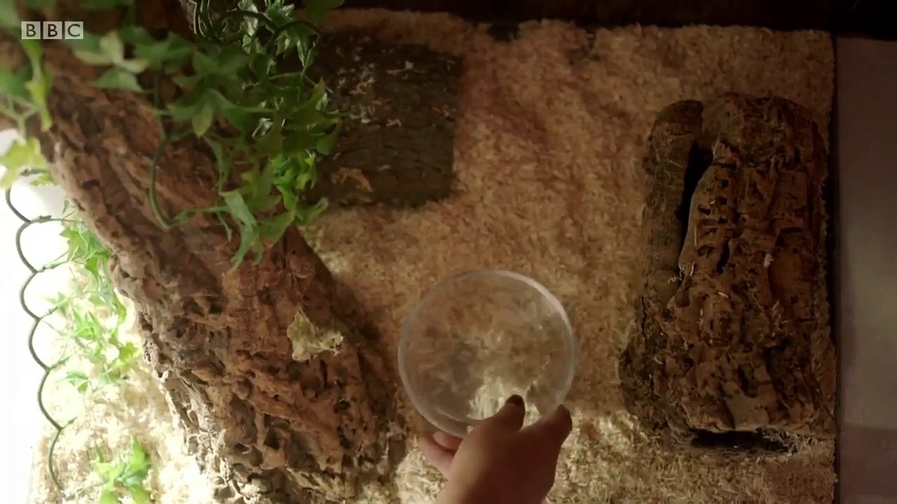 The Tuckers - Se1 - Ep04 HD Watch HD Deutsch