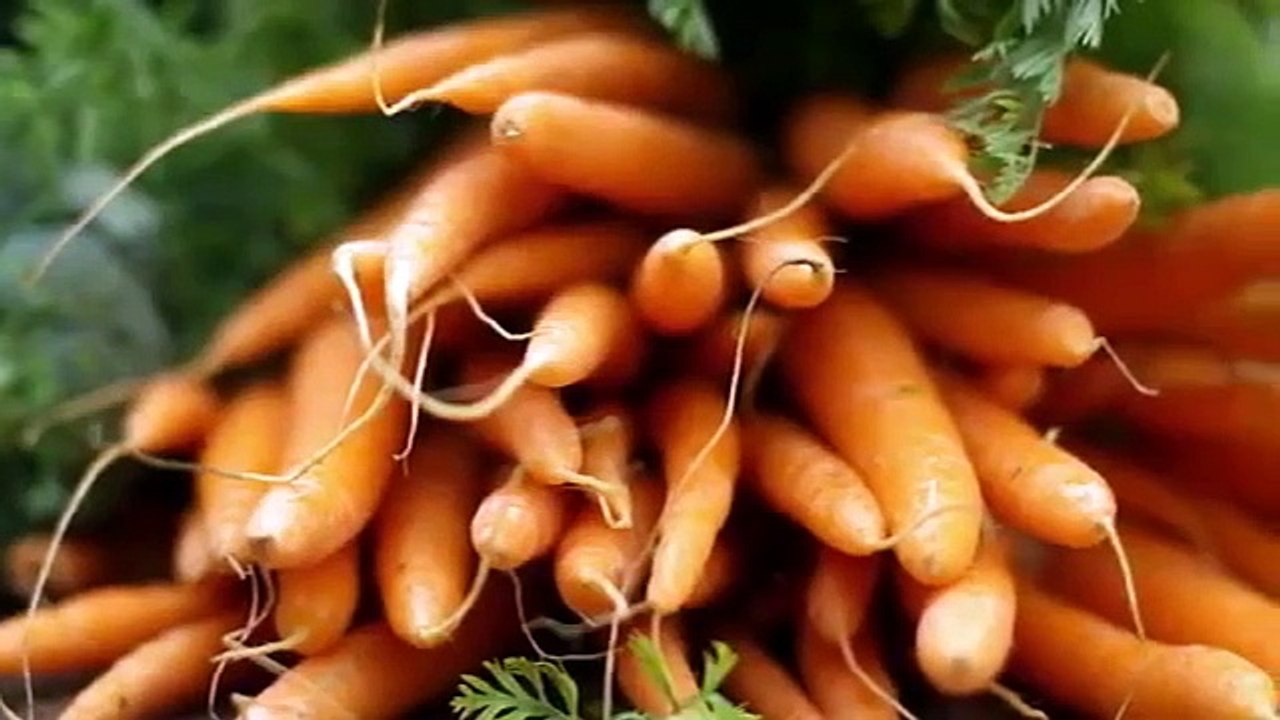 The Mind Of A Chef- Se5 - Ep04 HD Watch HD Deutsch