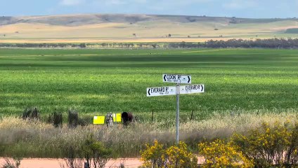 Red Rock, Everard | October 31, 2022 | Farmonline