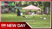 Some families make early visit to cemeteries to avoid crowd, traffic | New Day
