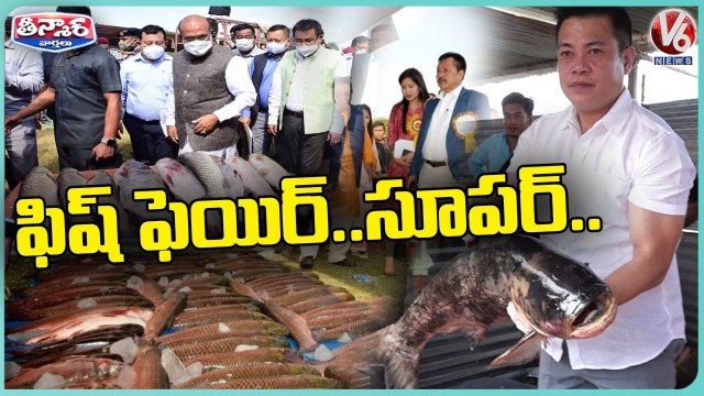 Fish Fair Cum Fish Crop Competition Held In Manipur | V6 Weekend Teenmaar (4)