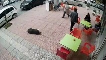 Yerde yatan köpek üzerine doğru yürüyen kadına çelme taktı