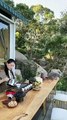 Bonsai Art - Home & Garden Decoration - 369 Ecology News