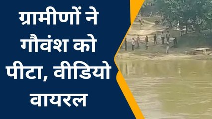 प्रतापगढ़: सोशल मीडिया पर वायरल हुआ ग्रामीणों द्वारा पशु के साथ क्रूरता का वीडियो, क्षेत्र में चर्चा व निंदा