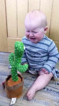 Cute Babies Playing with Dancing Cactus(Hilarious) #shorts #shortvideo #funnybaby