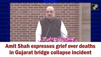 Amit Shah expresses grief over deaths in Gujarat bridge collapse incident