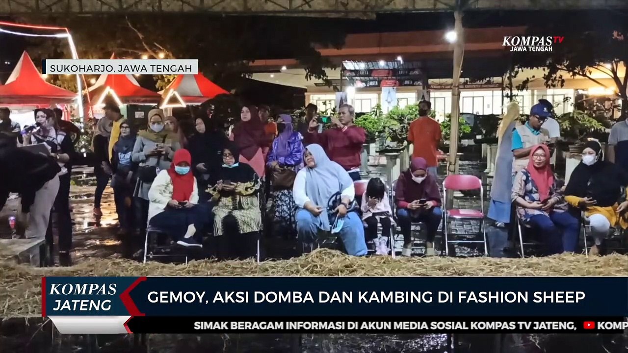 Gemoy, Aksi Domba dan Kambing di Fashion Sheep Sukoharjo