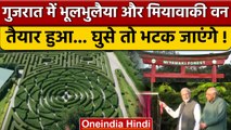 PM Narendra Modi ने Gujarat में Miyawaki Forest और Maze Garden का किया उद्घाटन | वनइंडिया हिंदी*News