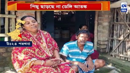 পিছু ছাড়ছে না ডেঙ্গি আতঙ্ক