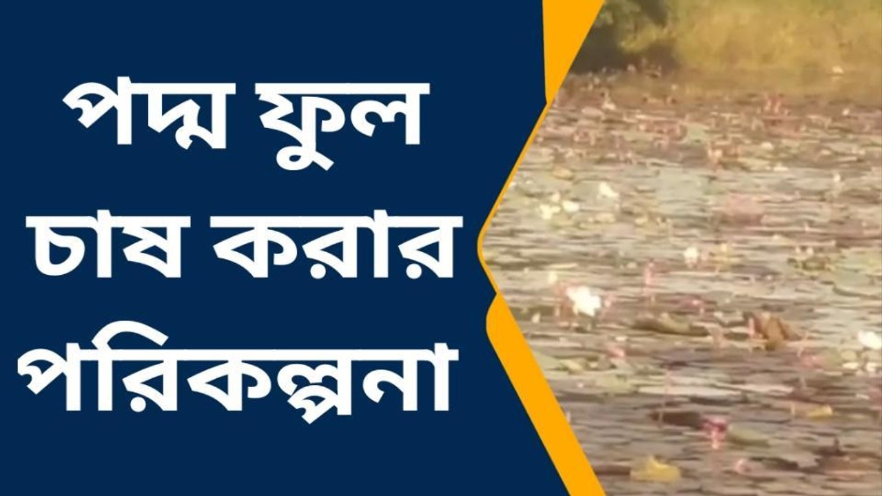পুরুলিয়া:পদ্ম ফুল চাষ করার পরিকল্পনা