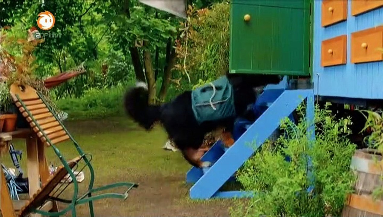 Löwenzahn Staffel 34 Folge 3 HD Deutsch