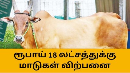 திருப்பூர் மாவட்ட மாட்டுச் சந்தையில் வர்த்தகம் எவ்வளவு தெரியுமா?