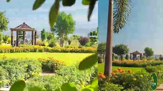 Horticulture Update | MIVIDA Overseas Community | MIVIDA PAKISTAN