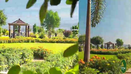 Horticulture Update | MIVIDA Overseas Community | MIVIDA PAKISTAN