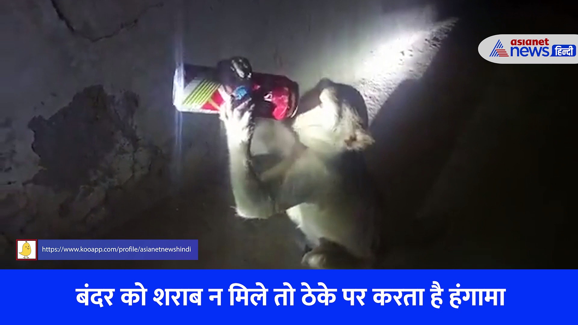 Video: ठेक पर करता है हंगामा, छीनकर पी जाता है शराब...आज तक नहीं देखा होगा ऐसा दारूबाज बंदर