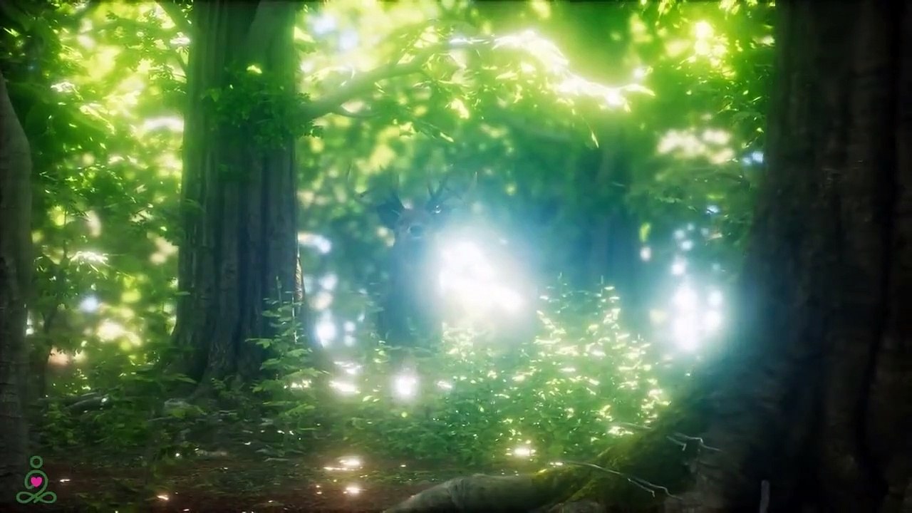 La musique relaxante soigne les maladies du cœur et des vaisseaux sanguins - Musique douce, calme