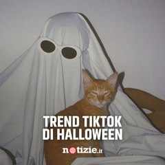 Halloween, ecco i trend che stanno spopolando su TikTok