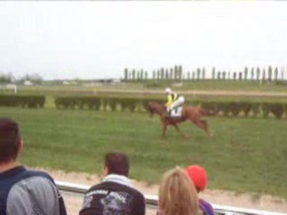 Course de chevaux