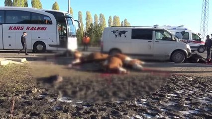 Sürüye çarpan araçtaki 4 kişi yaralandı, 5 hayvan telef oldu