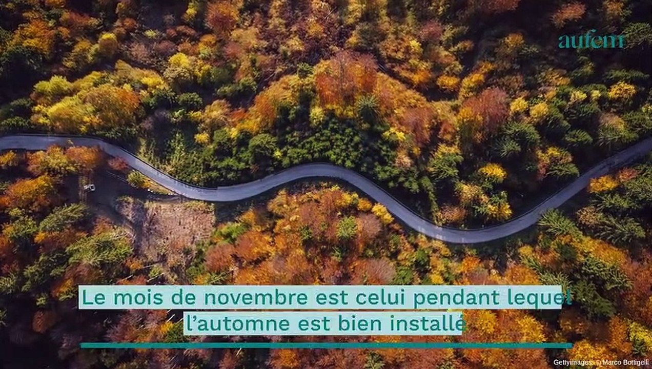 Astro : ces signes vont passer un excellent mois de novembre