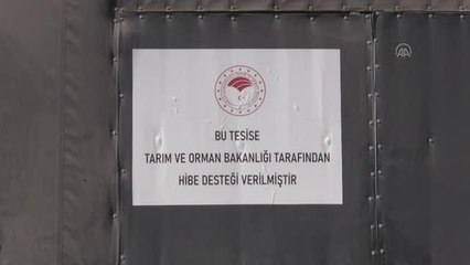ESKİŞEHİR - Kadın girişimci devlet desteğiyle sahip olduğu sürüyü büyütmeyi hedefliyor