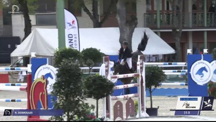 Grand National FFE - AC Print - CSO | Vichy (FRA) | Rodrigue DESMOULES | BRIGITTE