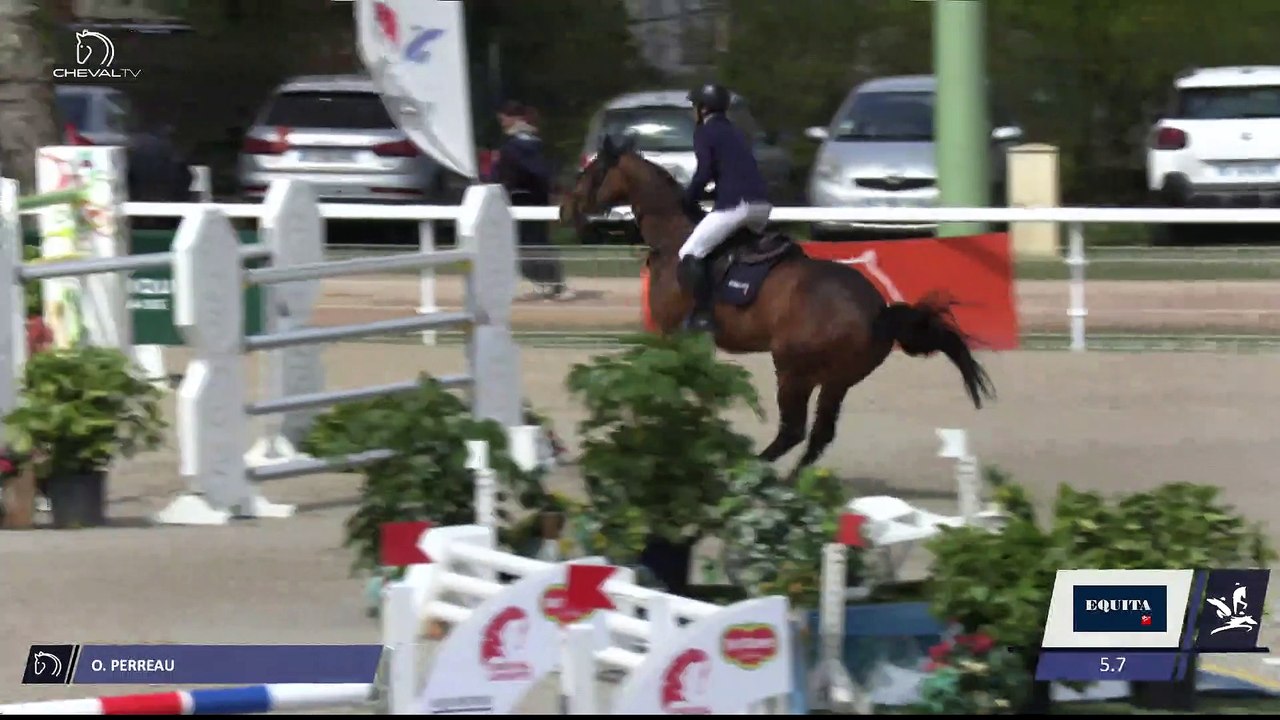 Grand National FFE - AC Print - CSO | Vichy (FRA) | Olivier PERREAU | VENIZIA D'AIGUILLY*GL EVENTS