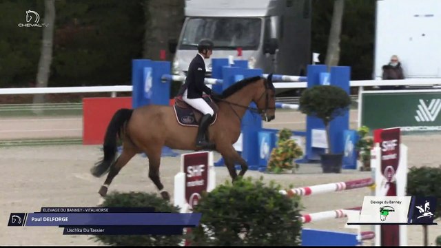 Grand National FFE - AC Print - CSO | Vichy (FRA) | Paul DELFORGE | USCHKA DU TASSIER