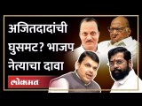 अजितदादांनी योग्यवेळी योग्य निर्णय घ्यावा, प्रसाद लाड यांचा सल्ला | Prasad Lad on Ajit Pawar