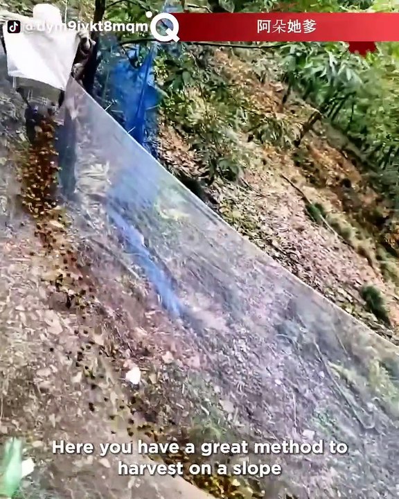 Pekerja Tercepat Dan Paling Terampil